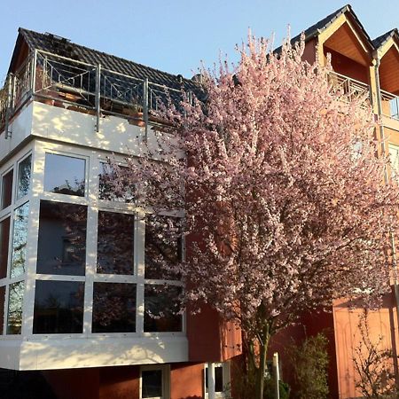 Gaestehaus Kirschgarten Bodenheim Luaran gambar